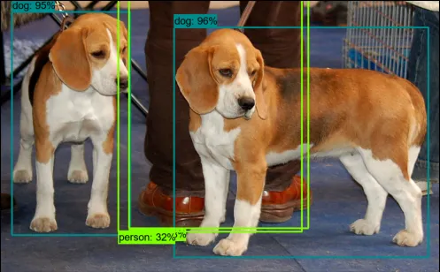 Object Detection